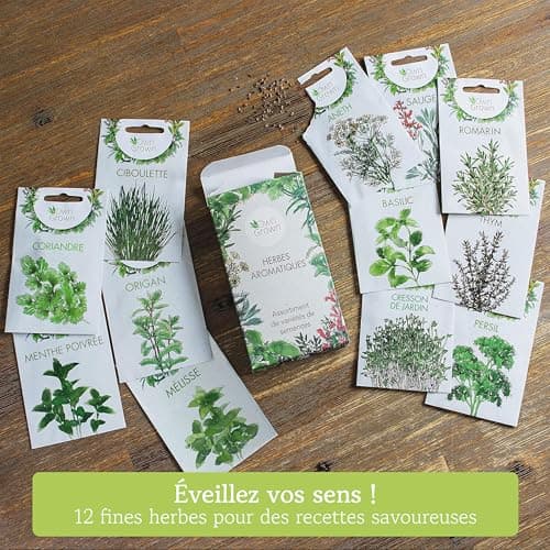 Kit de graines d‘Herbes aromatiques prêt à Pousser OwnGrown, 12 épices et aromates à Planter en Un kit Pratique, Naturelles pour Culture intérieure et extérieure