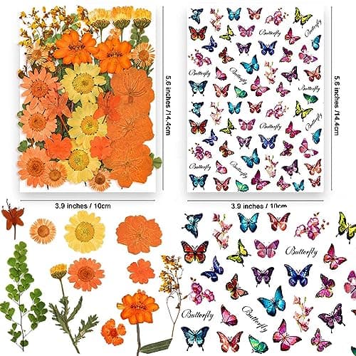 YouthBro 144PCS Fleurs Séchées Pressées Orange pour Pésine Vraie Nature Fleurs de Marguerite pour Bijoux Savon Vase Carte Scrapbook Art Décors