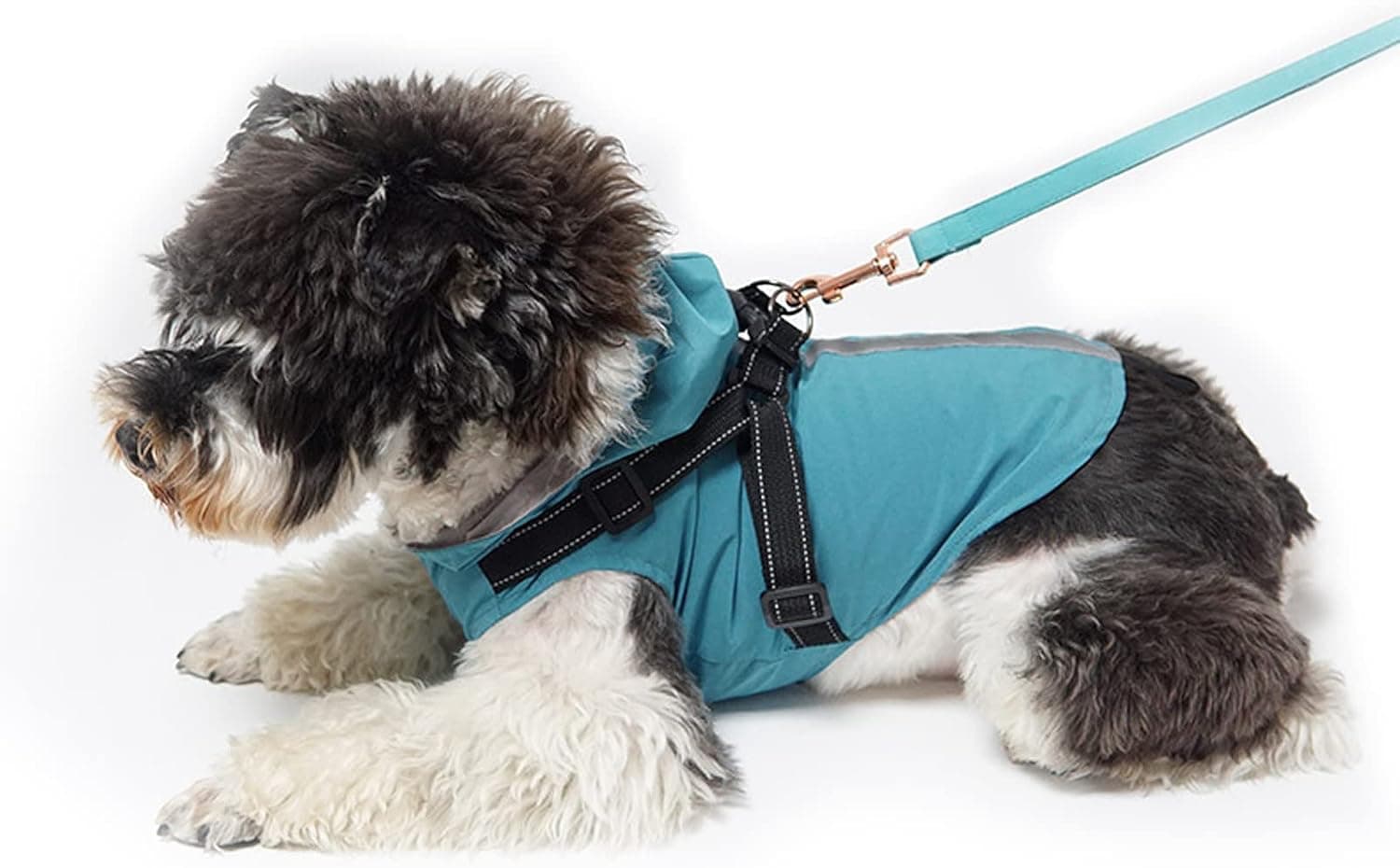 PETCUTE Manteau avec Harnais, avec Capuchon, 100% étanche, Coupe-Vent, avec Bandes Réfléchissantes, Respirant