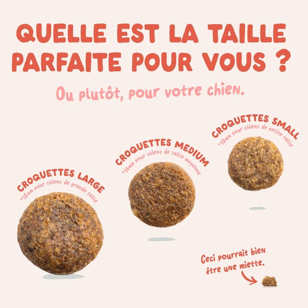 Edgard & Cooper Croquettes Chien Senior, (Poulet & Saumon, 2.5kg), Viande et poisson frais et protéines de qualité, Vrais ingrédients pour chiens, Hypoallergénique, Sans sucres ajoutés