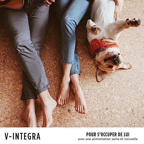 V-INTEGRA Epato Chiens et Chats - Supplément Complet de vitamines et minéraux pour la Ration ménagère des Chiens et Chats nécessitant Une Restriction en cuivre - 200g - Produit en Italie