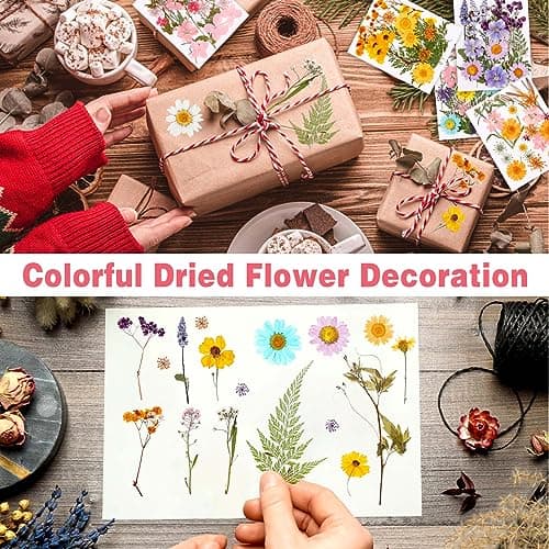 5 Paquets de Fleurs Séchées Naturelles, 96 Pcs Fleurs Sechees et Feuilles Séchées Naturelles, Bricolage Fleurs Pressées Séchées Naturelles Decoration pour Carte Scrapbook Art Décors Artisanat