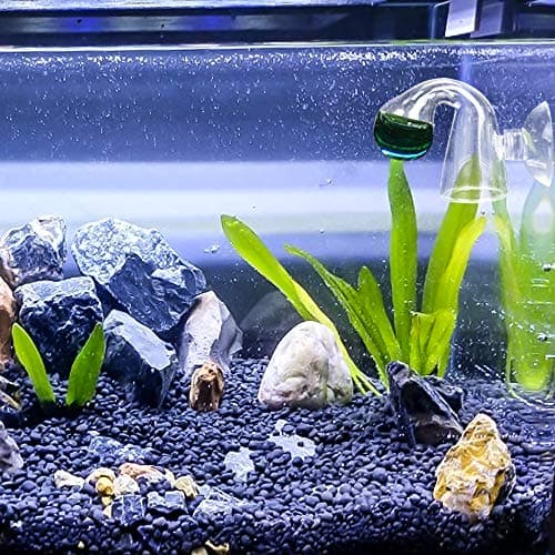 IAFVKAI Moniteur de CO2 pour Aquarium Contrôleur de Chute de CO2 pour Aquarium Détecteur de CO2 de Moniteur de capacité en Verre avec Ventouse pour Aquarium planté