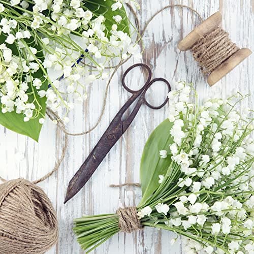 La cordeline Ficelle Jute Naturel Ø1.5mm ±100m pour Le Jardinage, Bricolage, activités manuelles BJN100, Naturelle