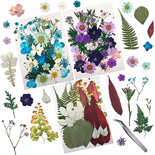 Cinco 90 Pcs Vraies Fleurs et Feuilles Pressées Séchées Pétales Naturels Séchés pour Bougie Résine Bijoux Savon Pendentif pour Ongles Cas De Téléphone Artisanat (Bleu, Violet, Rose, Vert)