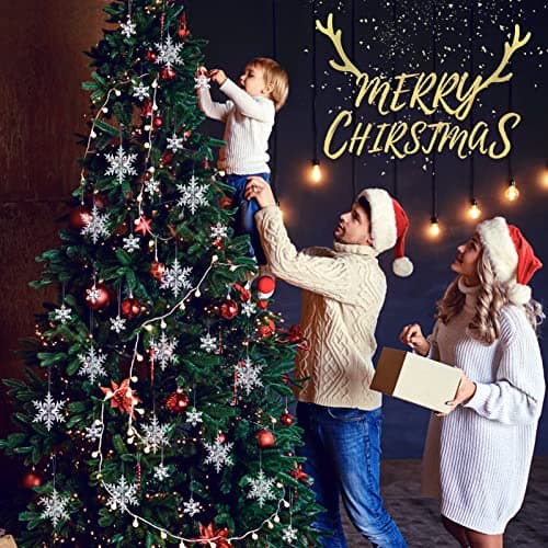 25 Pièces Acrylique Ornements de Flocons de Neige, Hiver Décorations avec Ligne De Cristal pour Fenêtres Cheminée Sapin de Noël