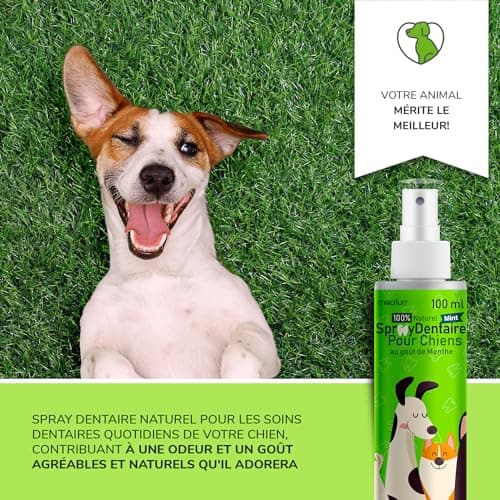 Moofurr Dentifrice Chien Spray 100ml - pour Le Detartrage Dentaire des Chiens, Anti-Tartre Dentaire, Rafraichissant pour la Mauvaise Haleine du Chien - Hygiene et Sante Naturelle du Chien a la Menthe