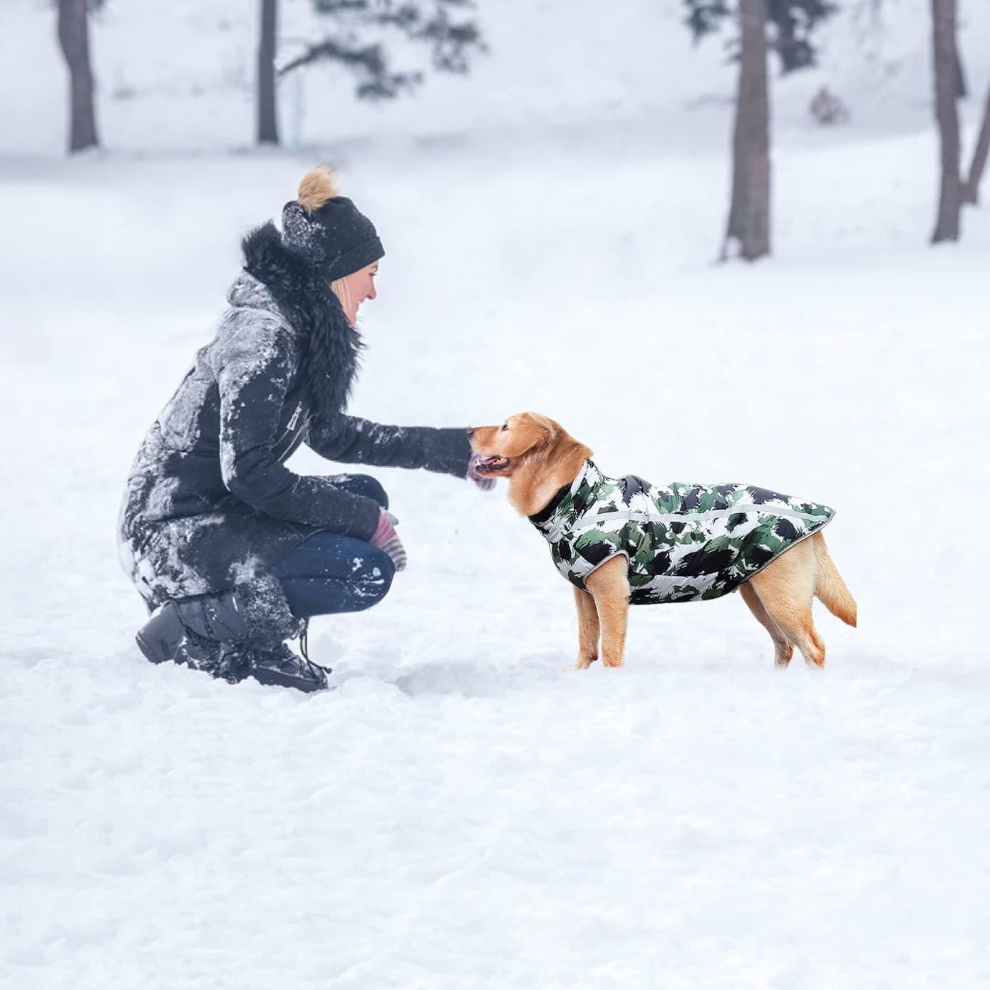 Idepet Manteau pour chien coloré