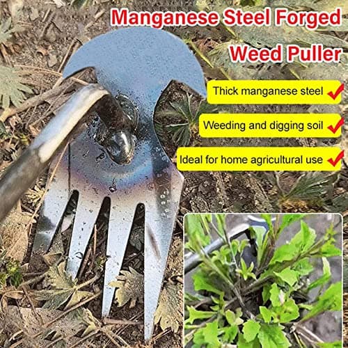 Hongjingda Désherbeur manuel en acier inoxydable - 4 dents - Pour le jardin, la cour, la terrasse