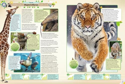 Guinness World Records 2025: 70e anniversaire