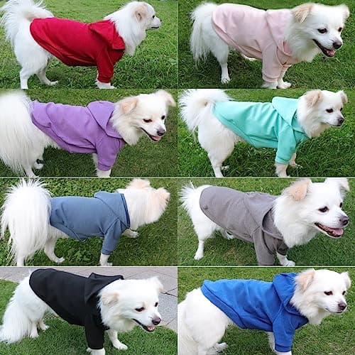 HuaLiSiJi Sweat Capuche Chien Sweat Chien Pull Petit Chien Confortable, Chaud et Léger, Le Tissu Est St Super Doux, Elastique Facile à Porter, Couleurs Vive (Medium, Noir)