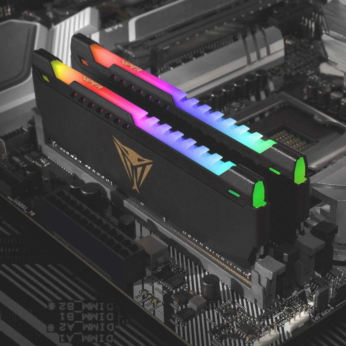 Patriot Memory Viper Elite DDR4 3200 16GB (1x16Go) C18 Module de Mémoire Haute Performance Eclairage LED RGB - Noir