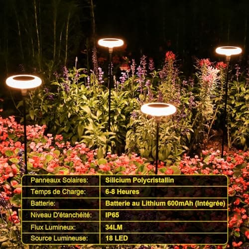 Carastek Lampe Solaire Exterieur 4 Pièces Blanc Chaud Lampe Solaire LED Extérieur Jardin IP65 Étanche Lampes de Jardin avec Extra brillantes 34 lumens pour Passerelle,Balcon, Decoration de Fête