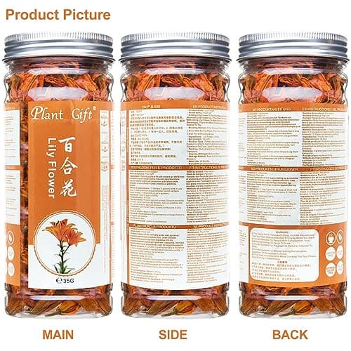 Plant Gift Fragrant Natural Lily Flowers 35G/1.23oz 百合花 Fleurs de lys, fleurs de lys séchées biologiques, thé santé, thé de lys chinois