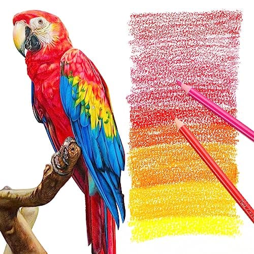 HIFORNY Ensemble de 80 crayons de couleur pour adultes - 72 couleurs de crayons de couleur avec des extras, des crayons à mine tendre pour artistes