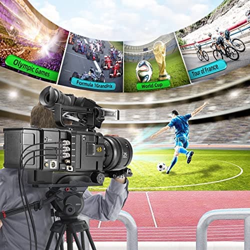 Superbat Câble BNC 30cm 3G/6G/HD SDI Câble Belden 1855A Câble 75ohm BNC Mâle à Mâle Câble Coaxial SDI Câble Vidéo pour HD-SDI/3G-SDI/4K Caméra(Droit,2 Pièces)