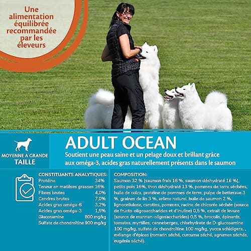 Wellness Core Ocean, Croquettes pour Chien de Grande et Moyenne Taille, Naturelles et Sans Céréale, Saumon/Thon, 10 kg