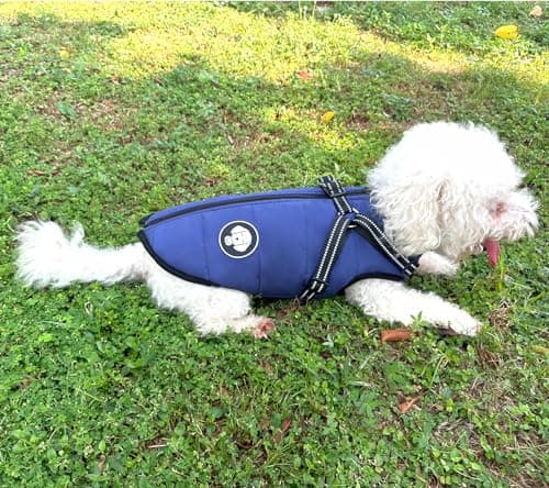 Manteau d'hiver Imperméable pour Chien Chaud avec Harnais, Veste de Chien Imperméable pour Petit Moyen Grands Chiens, pour Labrador Chihuahua Bouledogue Français