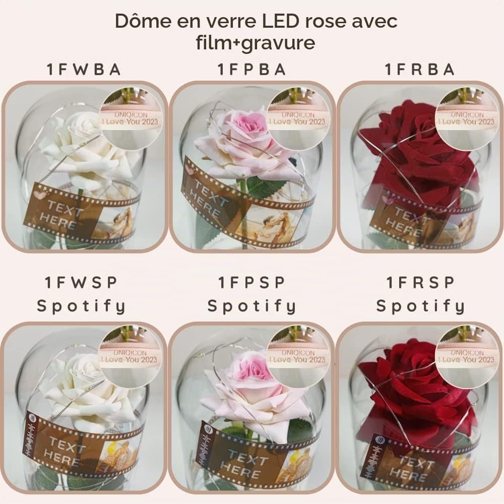 Saint Valentin Rose Eternelle sous Cloche, La Belle et la Bête Rose, Dôme en Verre Rose éternelle avec lumière LED et Base, Mariage Maison Décor, Cadeau Unique pour Maman, Femme, Mere, Mamie, Amie