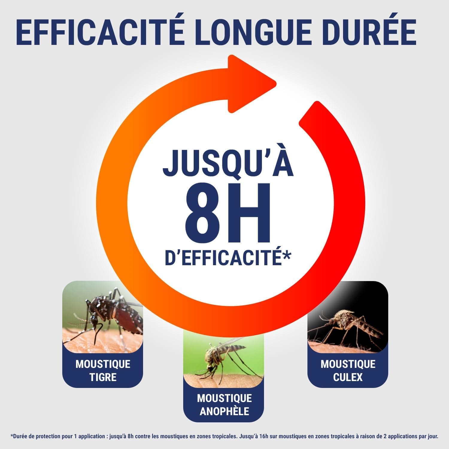 INSECT ECRAN Tropiques - Spray Anti-Moustiques Répulsif - 8H - 75 ml