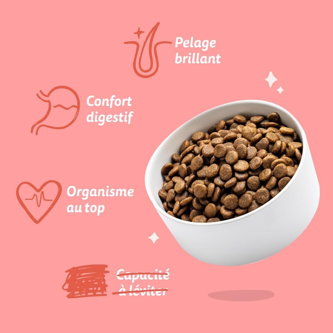 Edgard & Cooper Croquettes Chien Senior, (Poulet & Saumon, 2.5kg), Viande et poisson frais et protéines de qualité, Vrais ingrédients pour chiens, Hypoallergénique, Sans sucres ajoutés