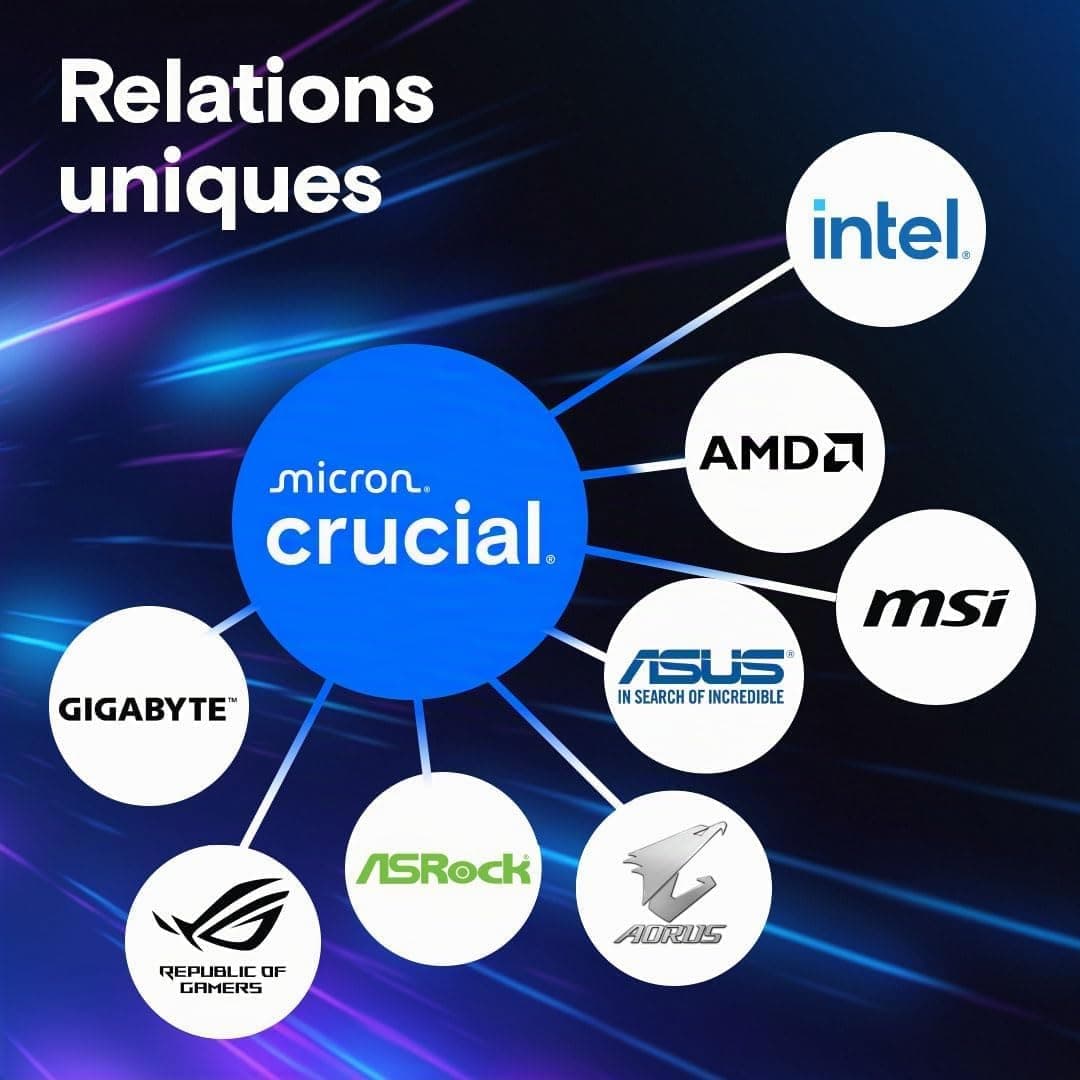 Crucial Pro RAM DDR5 64Go Kit (2x32Go) 5600MHz, Intel XMP 3.0 / AMD Expo, PC Mémoire - CP2K32G56C46U5