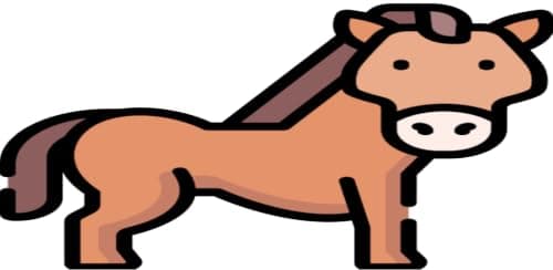 Awesome Horse Videos