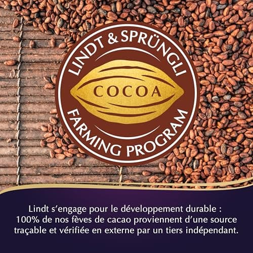 Lindt - Boîte CHAMPS-ÉLYSÉES Édition Avenue en Fête - Assortiment de Chocolats au Lait, Noirs et Blancs - Pralinés, Croustillants et Onctueux - Idéal pour Noël, 467g