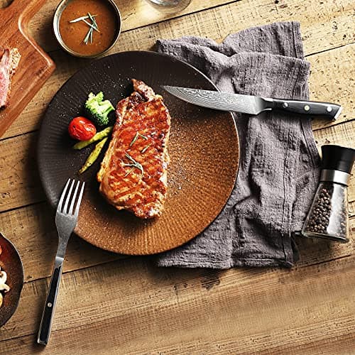 Sunnecko Couteaux à Steak Damas 6 Pièces, Coffret de Couteaux de Table en Acier Damassé 73 Couches, Set Couteau Cuisine Japonais Lame 13cm, Couteau Viande Manche G10