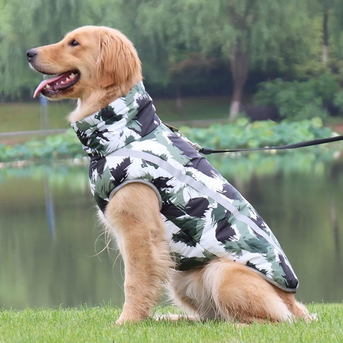 Idepet Manteau pour chien coloré