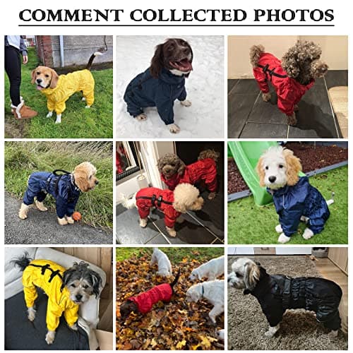 Geyecete - Extensible 1/2 Jambe Costume Combinaison pour Chiens, Manteaux imperméable pour Chien avec Fermeture éclair e Nylon Boucle,pour Chiens de Grande, Petite et Moyenne Taille-Jaune-XXL