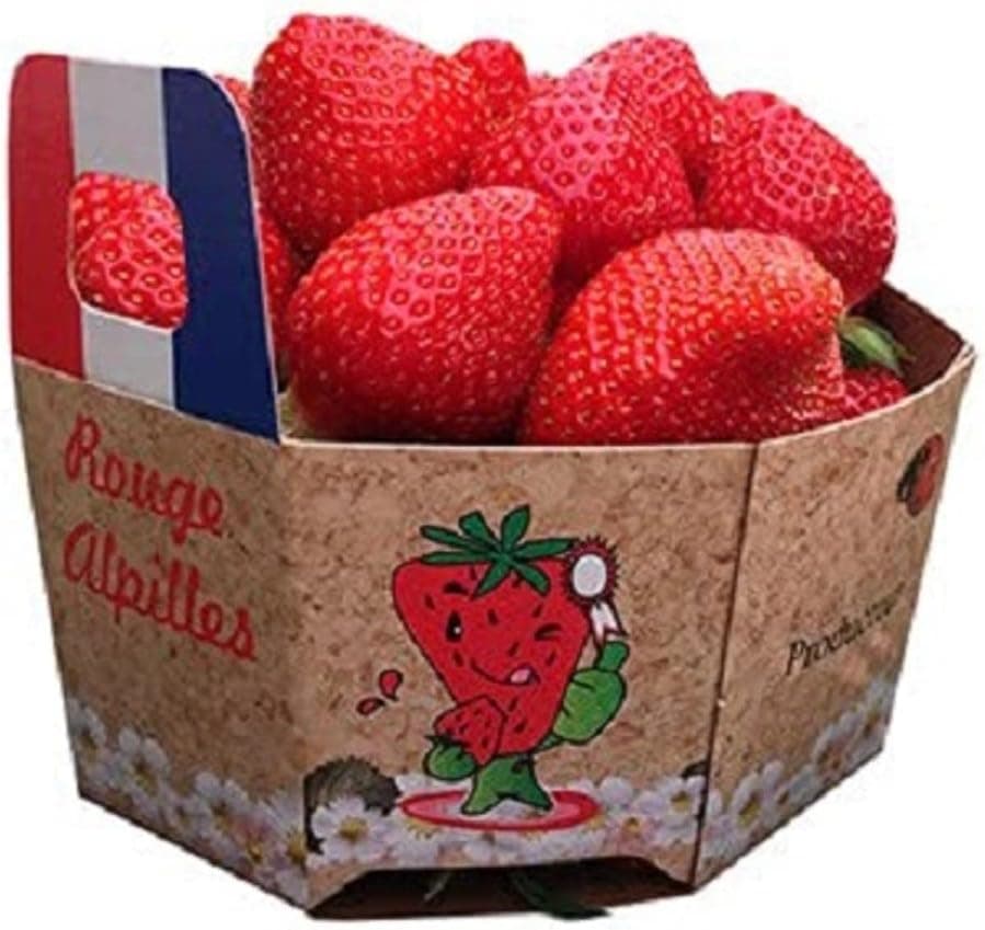 Fraise ronde - La barquette de 500g