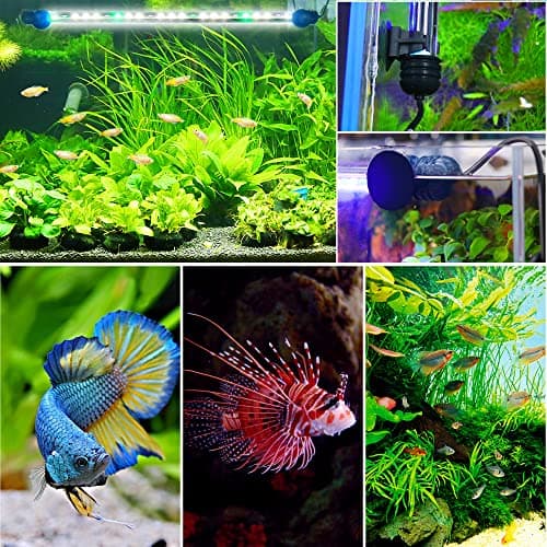 BELLALICHT LED Timer éclairage d'aquarium - Lampe d'aquarium [lumière blanche RVB] avec minuterie intégrée, variateur 10 niveaux de luminosité IP67 étanche Light pour réservoir de poissons plante