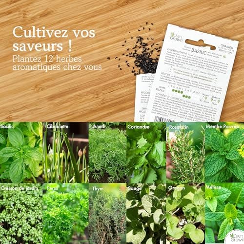 Kit de graines d‘Herbes aromatiques prêt à Pousser OwnGrown, 12 épices et aromates à Planter en Un kit Pratique, Naturelles pour Culture intérieure et extérieure