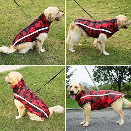 Idepet Manteau De Chat De Chat pour Animaux, Chaud Cavaliers De Chien d'hiver Petit Moyen Grand Chien Vestes Gilet Windproof Snowsuit Chien Vêtements Outfit avec Harnais Trou