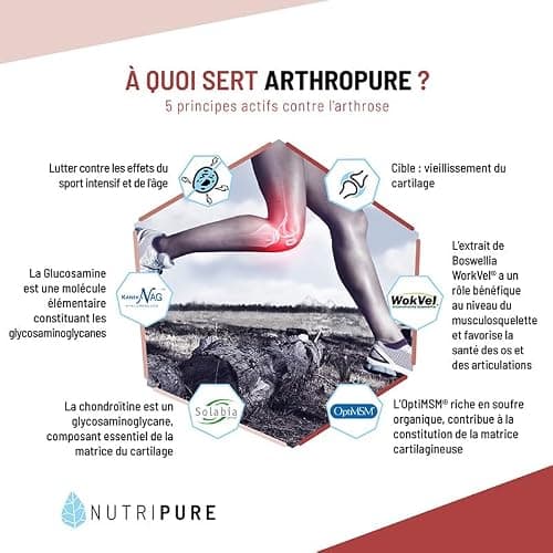 Nutripure | Arthopure | Bien Être & Souplesse Articulaire | 5 principes Actifs Brevetés : OptiMSM® + Chondroïtine sulfate Solabia® + N Acetyl Glucosamine Kaneka® + Boswellia WorkVel® + Vitamine C