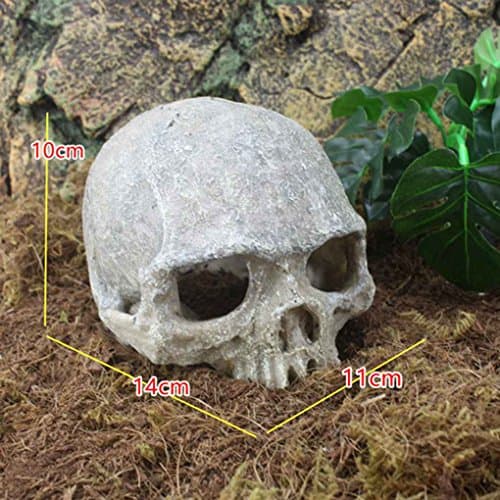 Morza Environnements Exotiques Crâne Aquarium Ornement Terrarium Reptile Fish Tank Décoration