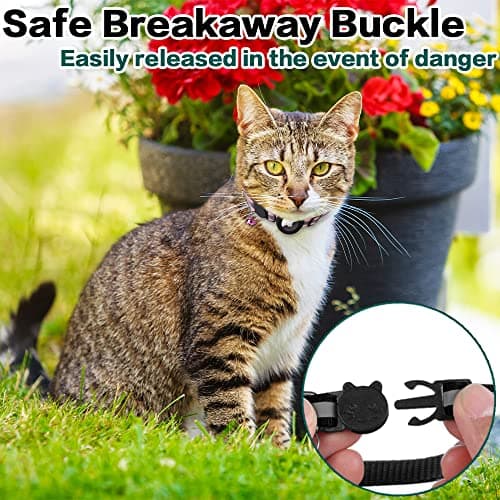 Collier Chat Airtag, Collier pour Chat Anti-étranglement avec Protecteur Airtag et Cloche, pour Toutes Les Tailles de Chats, Large de 1 Centimètres et Léger (Noir)