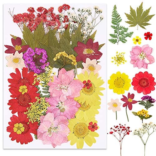 Lot de 65 véritables fleurs séchées pressées avec plusieurs pétales de fleurs séchées avec 5 marque-pages et pince à épiler pour la fabrication de bougies, loisirs créatifs, bijoux en résine, nail art