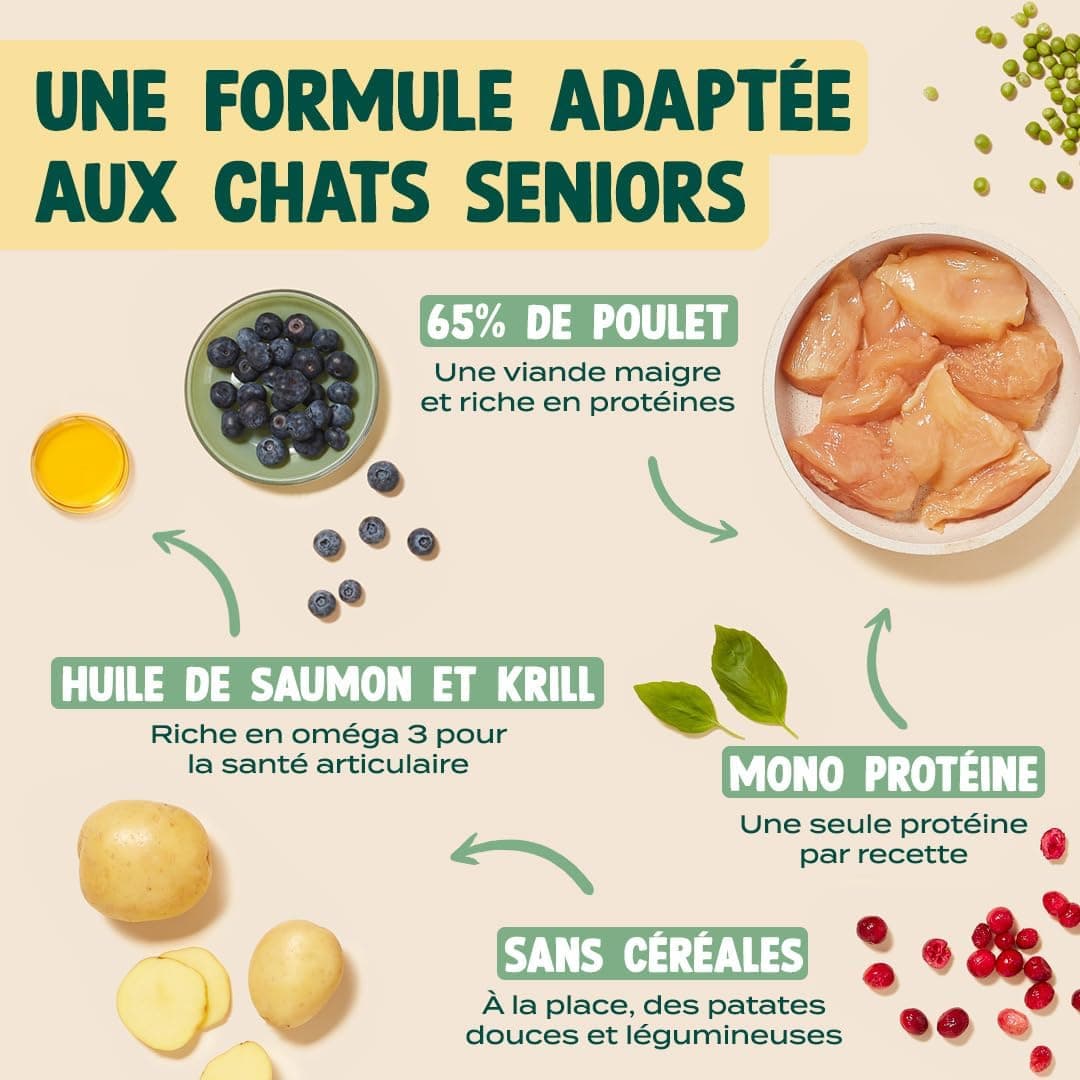 FRANKLIN – Croquettes Chat Senior – 65% de Poulet – 1 kg | Sans Céréales – Riche en Protéines – Soutien des Reins et Articulation – Digestion Facile – Taille 9mm – Fermeture Intégrée