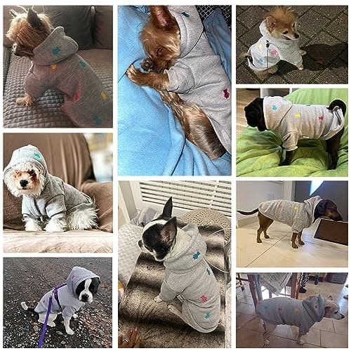 LeerKing Sweats à Capuche pour Chien Chaud Sweatshirt en Coton Chiot Vêtement pour Moyen Petit Chien Chat Gris XXS