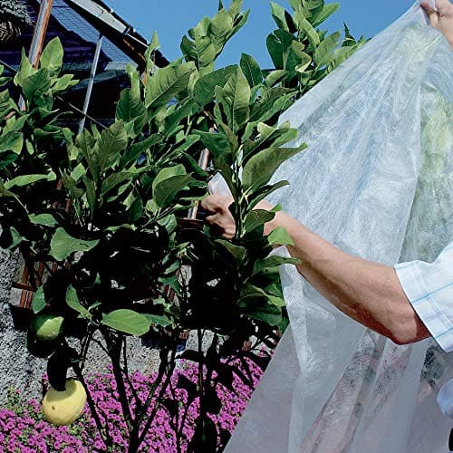 TENAX Ortoclima Plus 2,40x10 m Blanc, Voile d'Hivernage pour Plantes et Cultures, en Tissu Non Tissé 30 g/m2, Protège les Plantes, Fleurs et Légumes du Froid, du Gel et du Vent