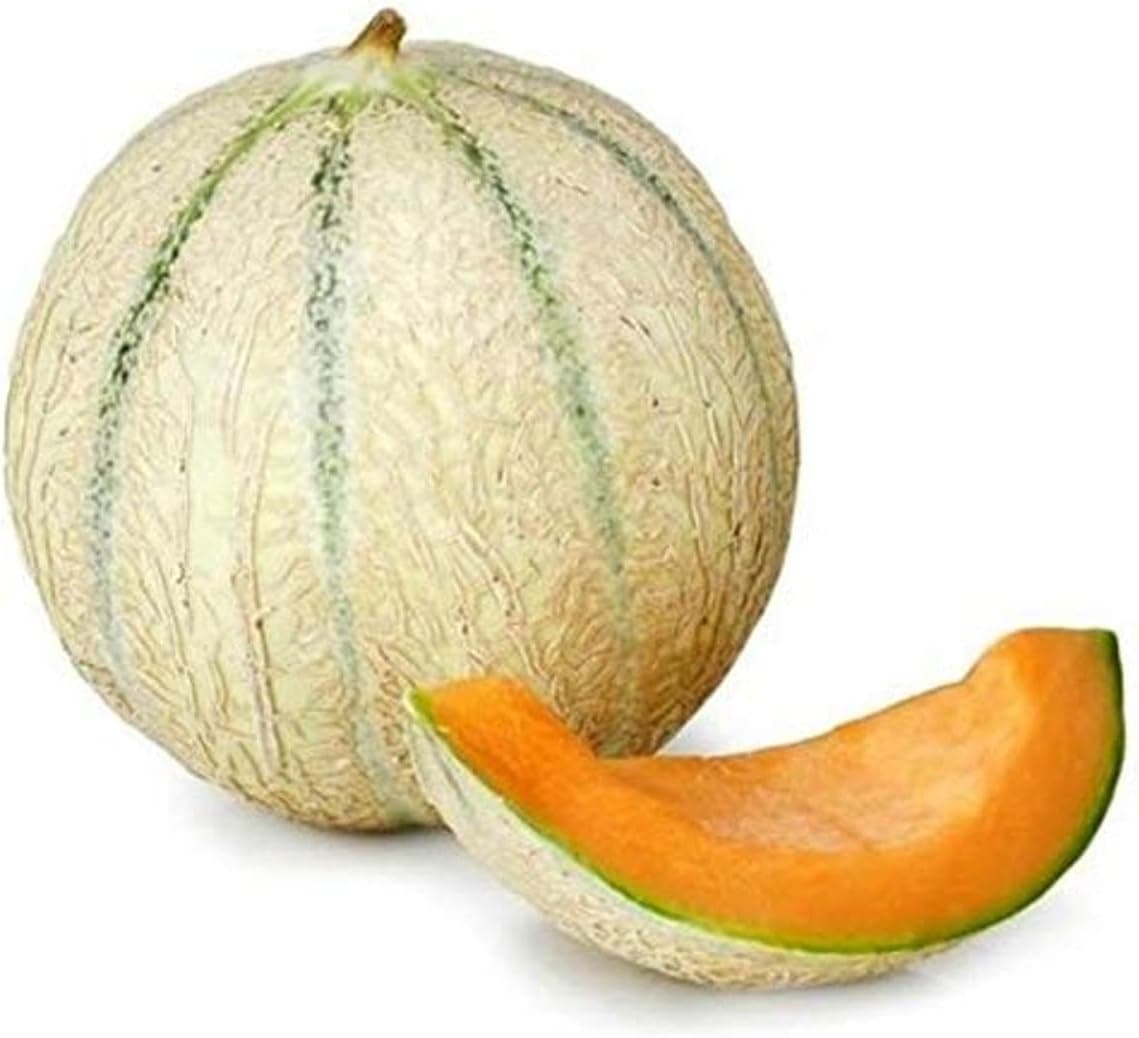 MELON BIO - La pièce
