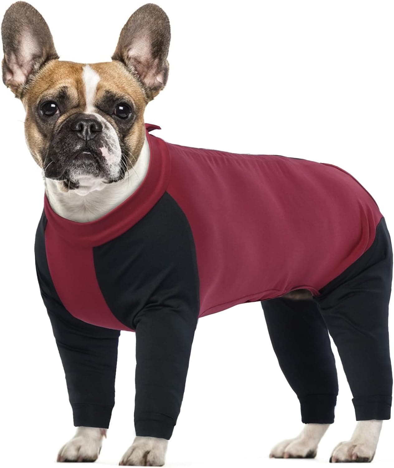 Combinaison de Convalescence Chirurgicale pour Chien, Pyjama Post-Chirurgie à Quatre Pattes pour Chien(Rouge, XS)