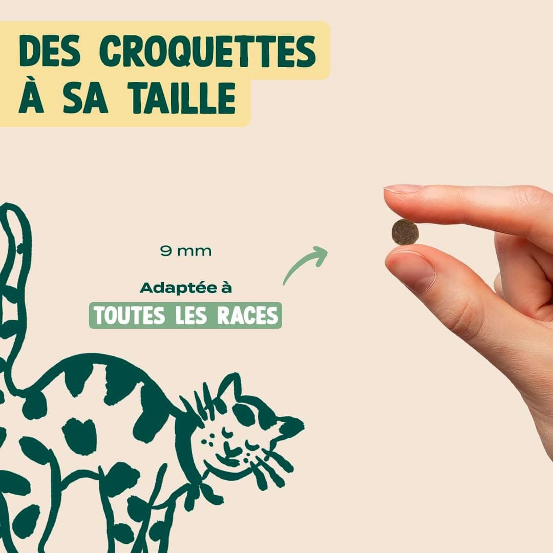 FRANKLIN – Croquettes Chat Stérilisé – 70% de Dinde et de Canard – 1 kg | Sans Céréales – Riche en Protéines – Contrôle du poids – Anti-boules de Poil – Taille 9 mm – Fermeture Intégrée