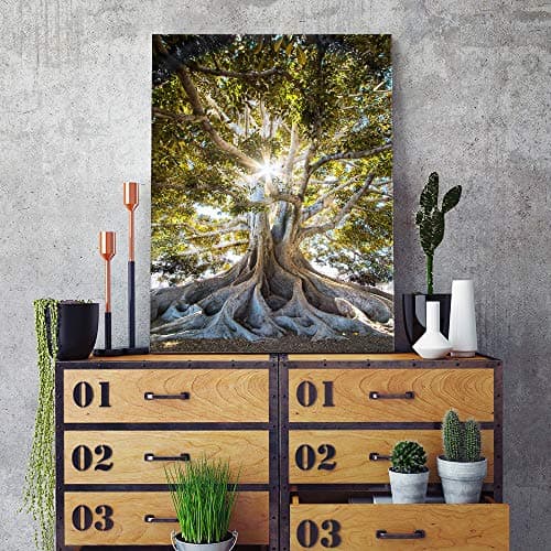 Feeby Image Panneau Déco Arbre 40x60 cm 1 pièce Tableaux Tableau Mural Image Photo Décoration Murale Artistique Photographie Design Chambre Salon Cuisine Feuillage Nature Paysage vert