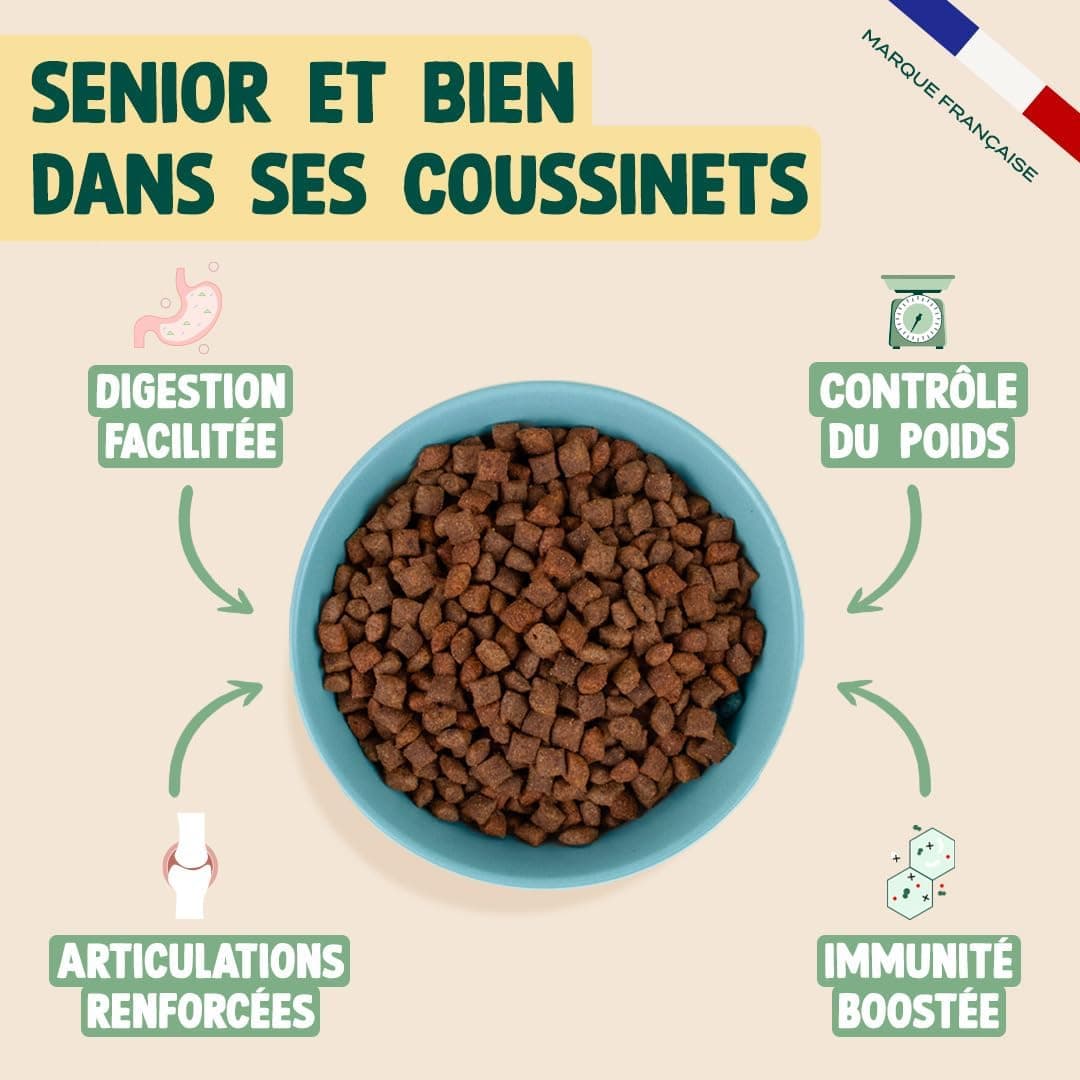 FRANKLIN – Croquettes Chat Senior – 65% de Poulet – 1 kg | Sans Céréales – Riche en Protéines – Soutien des Reins et Articulation – Digestion Facile – Taille 9mm – Fermeture Intégrée