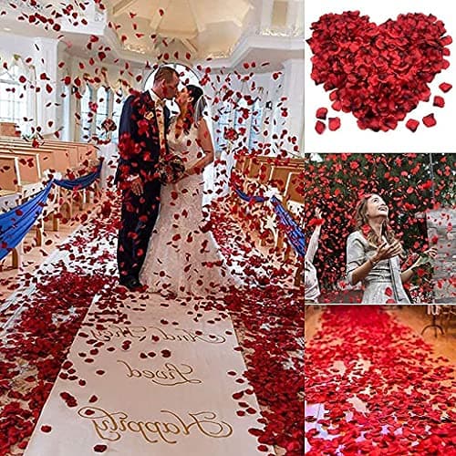 Reccisokz 100g-Pétales de rose séchées naturelles véritables fleurs rouges séchées pour le bain des pieds, le bain, le spa, le mariage, les confettis pour la maison, les loisirs créatifs