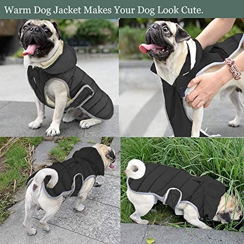 Etechydra Manteau Chien Veste Gilet Chaud de avec Chapeau Détachable, Confortable d'hiver Imperméable Vêtement Chien Doublure en Polaire Chaude Hiver-Coat Manteaux, Black Gris XS.