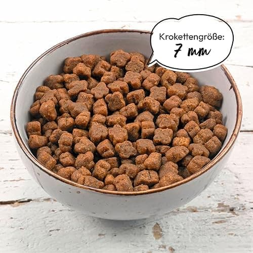 GRAU L’original Croquettes Pour Chats/chatons, Volaille Avec Super Aliments, Lot De 1 (1 x 2 kg), Sans Gluten, Pour Chatons